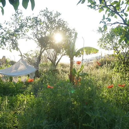 Biofinca Casa El Riego 3*